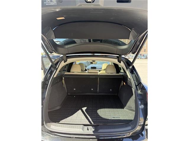 2019 Infiniti QX50  (Stk: 260514) in Ottawa - Image 17 of 26