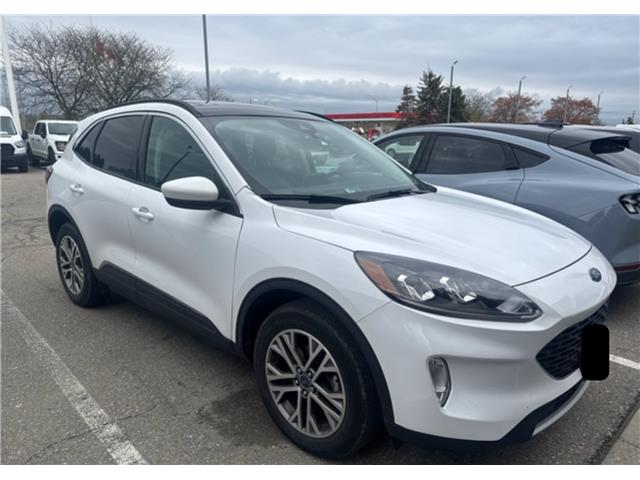 2022 Ford Escape SEL