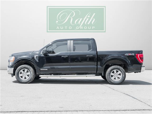 2021 Ford F-150 XLT (Stk: P1069) in Mississauga - Image 5 of 11