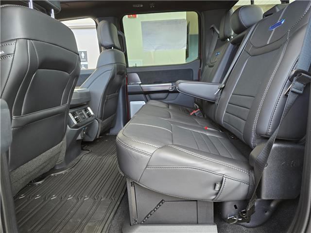 2026 Ford F-150 Platinum (Stk: T61213) in Hague - Image 13 of 13