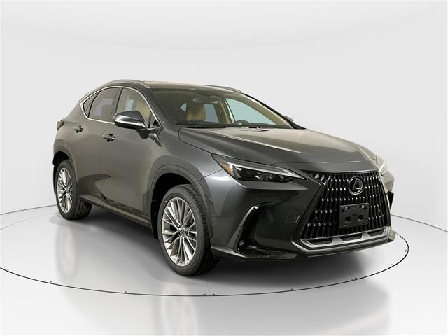 2026 Lexus NX Base 4dr All-Wheel Drive