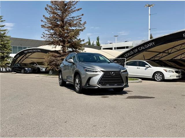 2022 Lexus NX Base