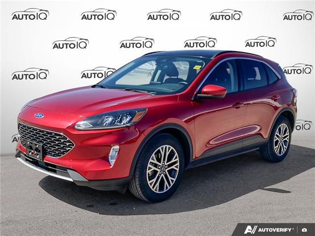 2022 Ford Escape SEL