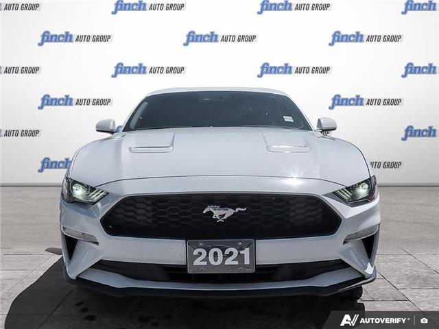 2021 Ford Mustang EcoBoost (Stk: L3188A) in London - Image 2 of 23