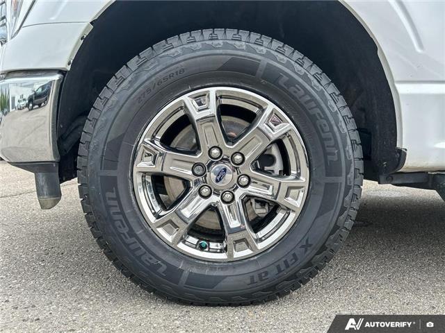 2023 Ford F-150 XLT (Stk: T-1192A) in Okotoks - Image 6 of 24