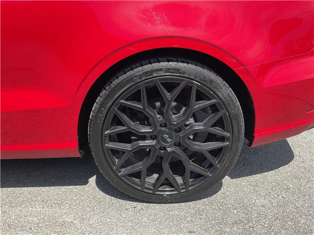 2017 Audi A3 2.0T Progressiv (Stk: 251229B) in Ottawa - Image 11 of 35
