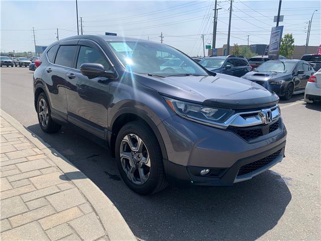 2019 Honda CR-V EX-L (Stk: 33109A) in Thunder Bay - Image 3 of 12