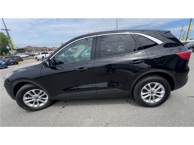 2020 Ford Escape SE (Stk: 26247) in Sudbury - Image 5 of 25