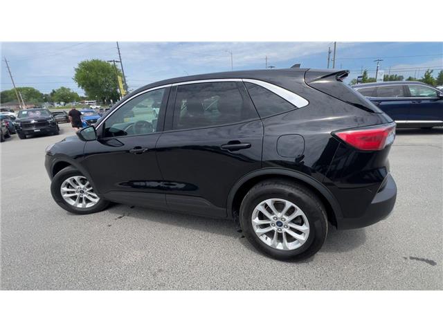 2020 Ford Escape SE (Stk: 26247) in Sudbury - Image 6 of 25