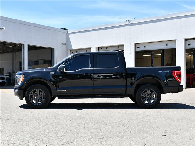 2023 Ford F-150 XLT (Stk: F62194A) in GEORGETOWN - Image 5 of 26