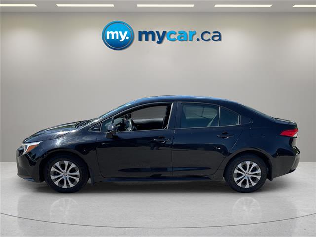 2023 Toyota Corolla Hybrid LE (Stk: 260699) in Ottawa - Image 8 of 34