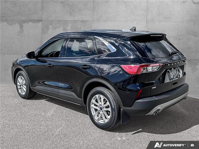 2020 Ford Escape SE (Stk: T51965) in Richmond - Image 4 of 25