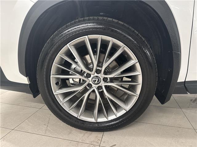 2024 Lexus NX 350 Base (Stk: 11U4508) in Markham - Image 14 of 30