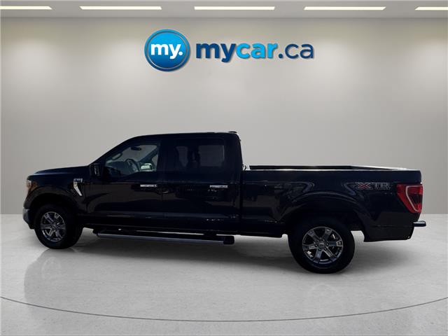 2023 Ford F-150  (Stk: 251458) in North Bay - Image 8 of 50