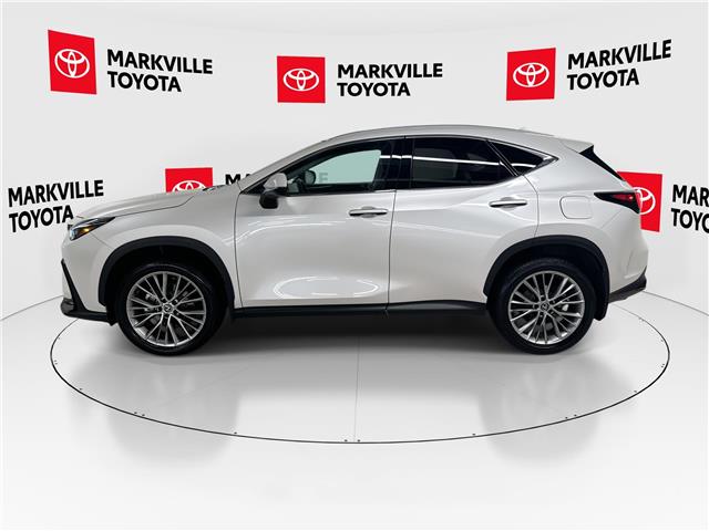 2024 Lexus NX 350 Base (Stk: 11U4508) in Markham - Image 6 of 30