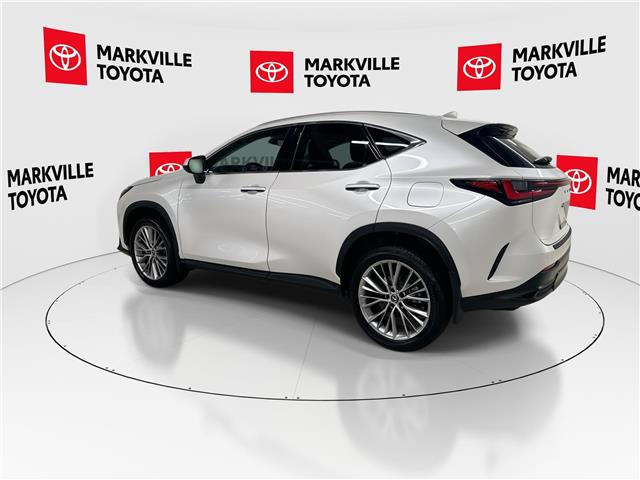 2024 Lexus NX 350 Base (Stk: 11U4508) in Markham - Image 7 of 30