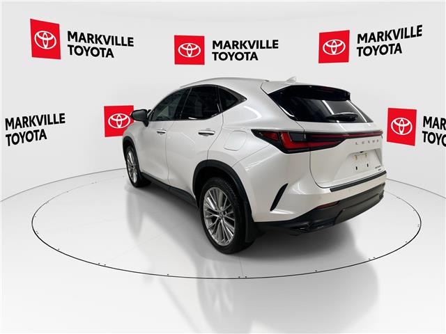 2024 Lexus NX 350 Base (Stk: 11U4508) in Markham - Image 8 of 30