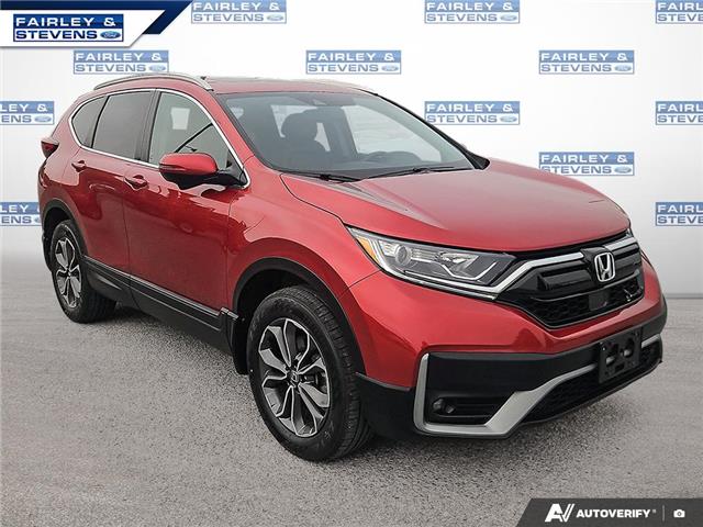 2020 Honda CR-V EX-L (Stk: P0385) in Dartmouth - Image 6 of 24