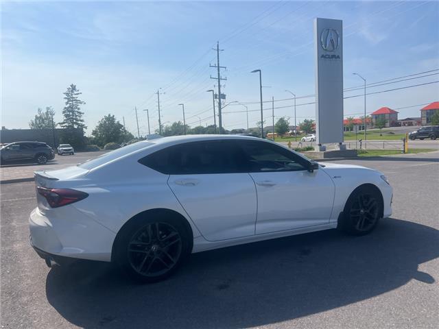 2024 Acura TLX A-Spec (Stk: 25P132) in Kingston - Image 9 of 20