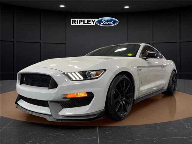 2017 Ford Shelby GT350 Base (Stk: 26217A) in Melfort - Image 2 of 12 2017 Ford Shelby GT350 Base (Stk: 26217A) in Melfort - Image 2 of 12