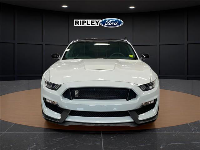 2017 Ford Shelby GT350 Base (Stk: 26217A) in Melfort - Image 3 of 12 2017 Ford Shelby GT350 Base (Stk: 26217A) in Melfort - Image 3 of 12