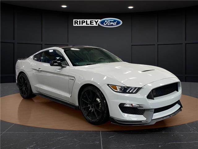 2017 Ford Shelby GT350 Base (Stk: 26217A) in Melfort - Image 4 of 12 2017 Ford Shelby GT350 Base (Stk: 26217A) in Melfort - Image 4 of 12