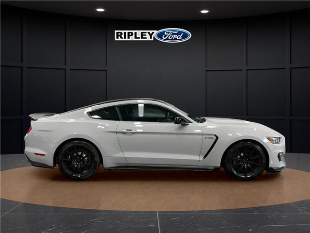 2017 Ford Shelby GT350 Base (Stk: 26217A) in Melfort - Image 5 of 12 2017 Ford Shelby GT350 Base (Stk: 26217A) in Melfort - Image 5 of 12