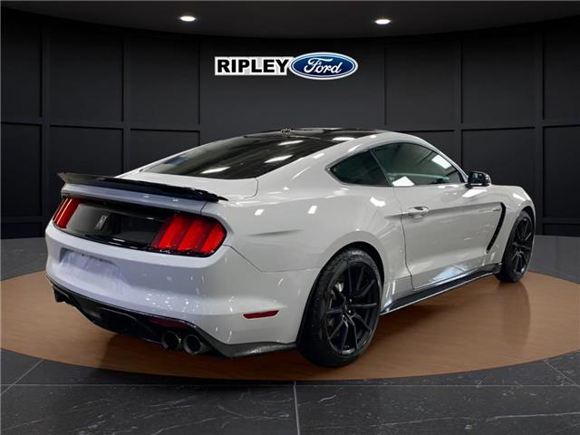2017 Ford Shelby GT350 Base (Stk: 26217A) in Melfort - Image 6 of 12 2017 Ford Shelby GT350 Base (Stk: 26217A) in Melfort - Image 6 of 12