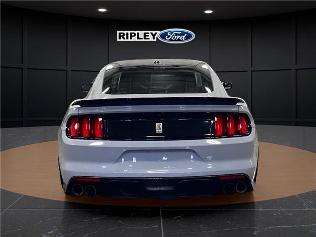 2017 Ford Shelby GT350 Base (Stk: 26217A) in Melfort - Image 7 of 12 2017 Ford Shelby GT350 Base (Stk: 26217A) in Melfort - Image 7 of 12