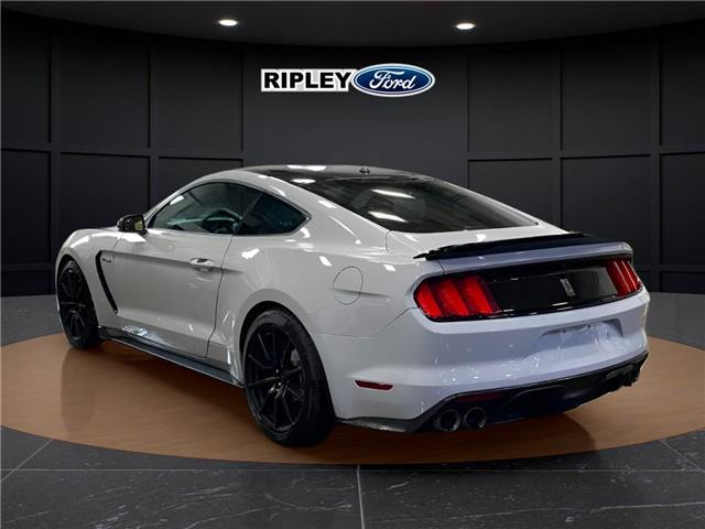 2017 Ford Shelby GT350 Base (Stk: 26217A) in Melfort - Image 8 of 12 2017 Ford Shelby GT350 Base (Stk: 26217A) in Melfort - Image 8 of 12