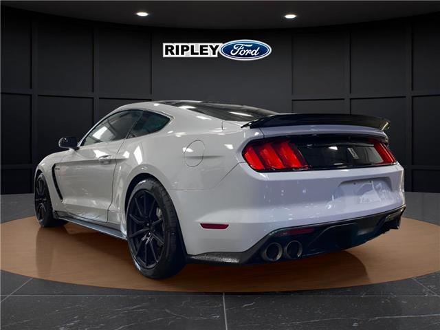 2017 Ford Shelby GT350 Base (Stk: 26217A) in Melfort - Image 9 of 12 2017 Ford Shelby GT350 Base (Stk: 26217A) in Melfort - Image 9 of 12