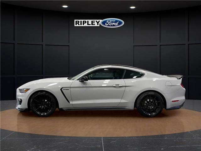 2017 Ford Shelby GT350 Base (Stk: 26217A) in Melfort - Image 10 of 12 2017 Ford Shelby GT350 Base (Stk: 26217A) in Melfort - Image 10 of 12