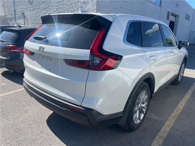 2024 Honda CR-V EX-L (Stk: 26P079) in Kingston - Image 7 of 10