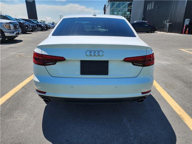 2017 Audi A4 2.0T Technik (Stk: P2324) in BELLEVILLE - Image 6 of 17