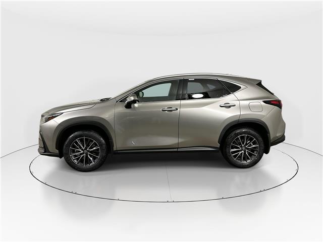2026 Lexus NX 350  (Stk: 14112902) in Markham - Image 4 of 8