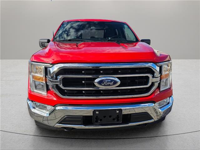 2022 Ford F-150  (Stk: T4000) in Richmond - Image 2 of 19
