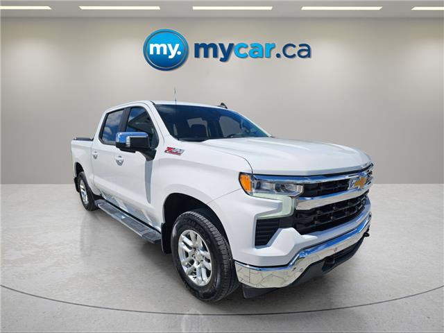 2024 Chevrolet Silverado 1500 LT (Stk: T4393) in Richmond - Image 3 of 21
