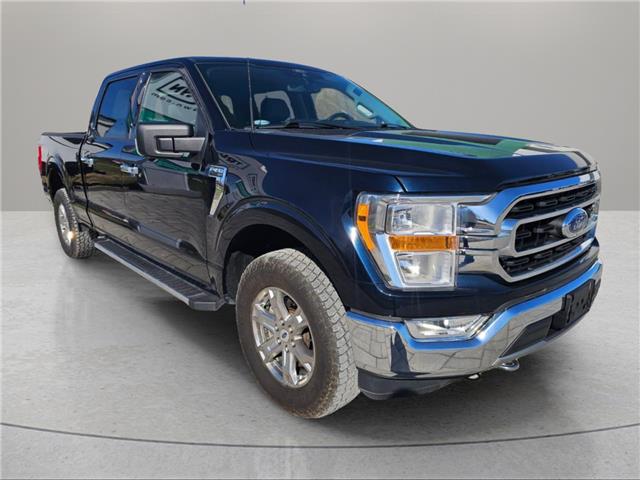 2021 Ford F-150  (Stk: T4356) in Richmond - Image 3 of 19