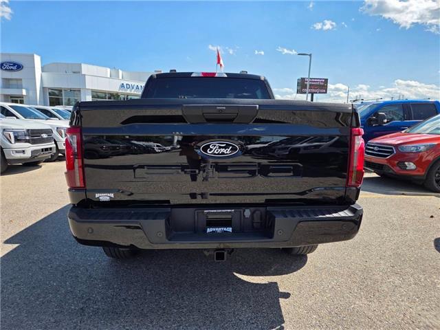 2024 Ford F-150 STX (Stk: TA-788B) in Calgary - Image 7 of 15