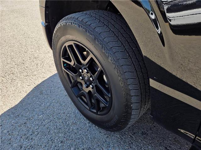 2024 Ford F-150 STX (Stk: TA-788B) in Calgary - Image 9 of 15