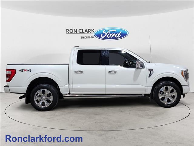 2021 Ford F-150 Platinum (Stk: 17176-1) in Wyoming - Image 8 of 15