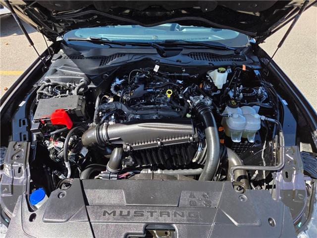 2025 Ford Mustang EcoBoost (Stk: 7199) in Calgary - Image 14 of 15