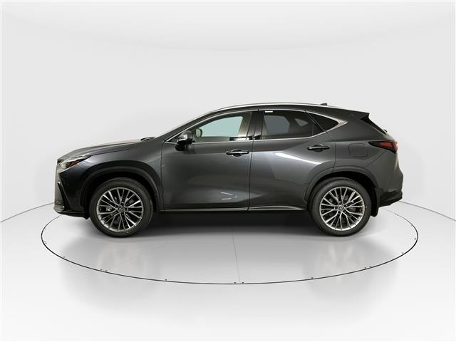 2026 Lexus NX 350  (Stk: 14112931) in Markham - Image 5 of 20