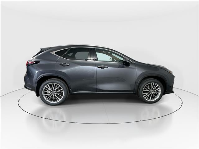 2026 Lexus NX 350  (Stk: 14112931) in Markham - Image 9 of 20