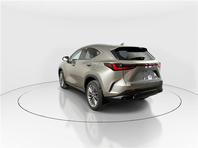 2026 Lexus NX 350  (Stk: 15106041) in Richmond Hill - Image 5 of 17