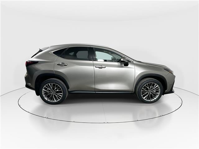 2026 Lexus NX 350  (Stk: 15106041) in Richmond Hill - Image 8 of 17