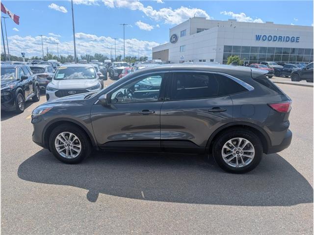 2020 Ford Escape SE (Stk: T-1770A) in Calgary - Image 4 of 25