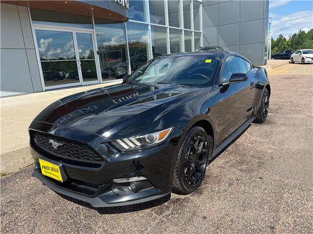 2017 Ford Mustang V6 (Stk: 24899) in Pembroke - Image 3 of 20
