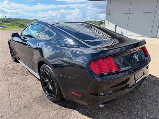2017 Ford Mustang V6 (Stk: 24899) in Pembroke - Image 10 of 20