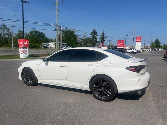 2024 Acura TLX A-Spec (Stk: 25P132) in Kingston - Image 16 of 20